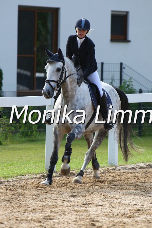 006M6373_Lena Ultsch_Geigenreuth_Diamond Dancer_Springpferde A_2010.JPG